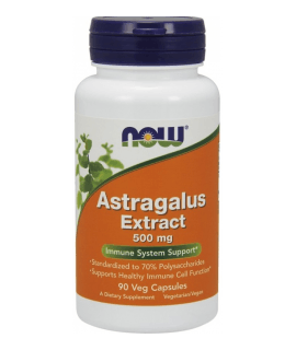 NOW FOODS Astragalus Extract 500mg 90 kaps.